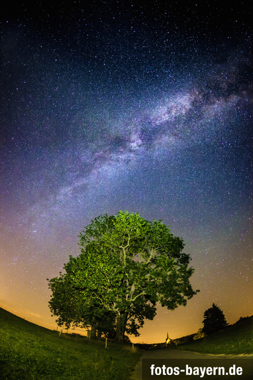 Klare Neumondnacht in Südbayern, in Peretshofen. Ein einsamer Baum vor dem Sternenhimmel mit Milchstraße