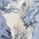 Bayern im Winter