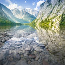 Obersee: glasklares Wasser